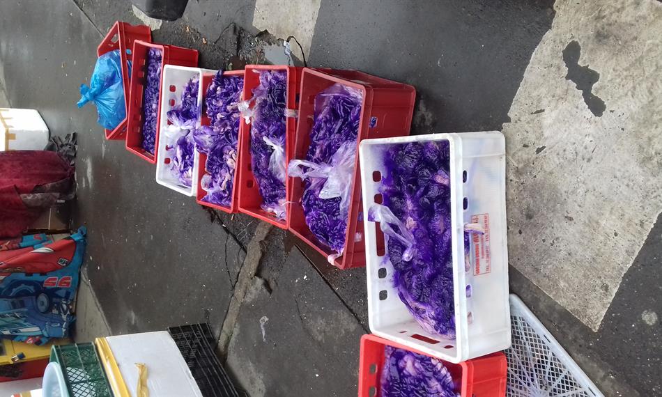 2019-3-20-1128vepřové 6.jpg